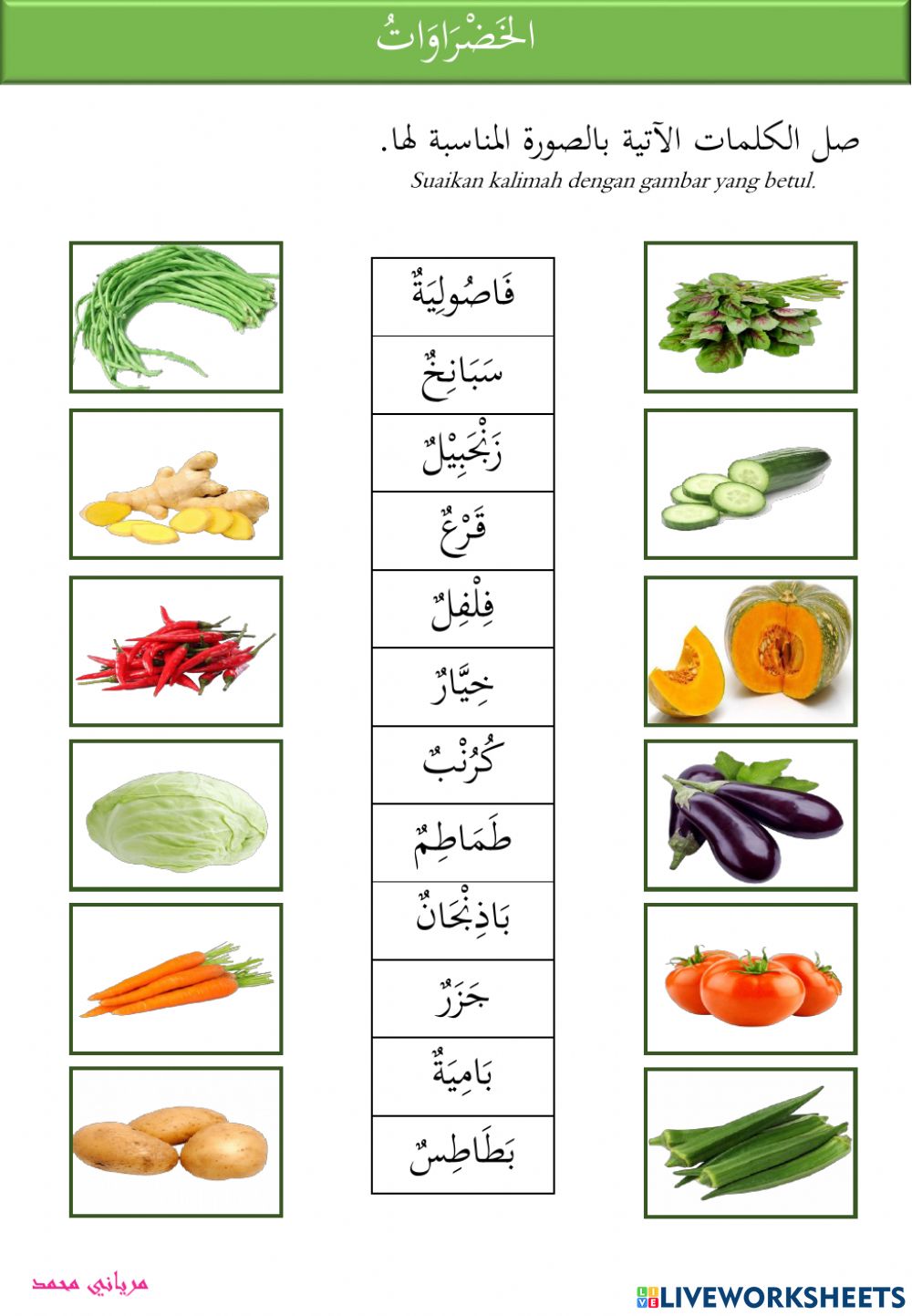 Detail Nama Nama Sayuran Dan Gambarnya Nomer 49