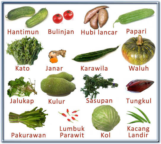 Detail Nama Nama Sayuran Daun Nomer 18