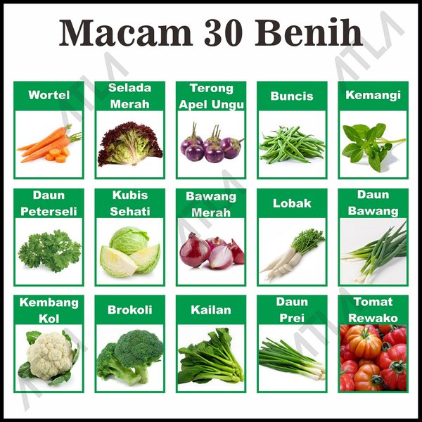 Detail Nama Nama Sayuran Daun Nomer 8