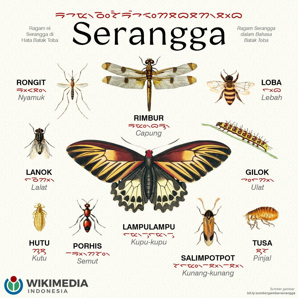 Nama Nama Serangga - KibrisPDR