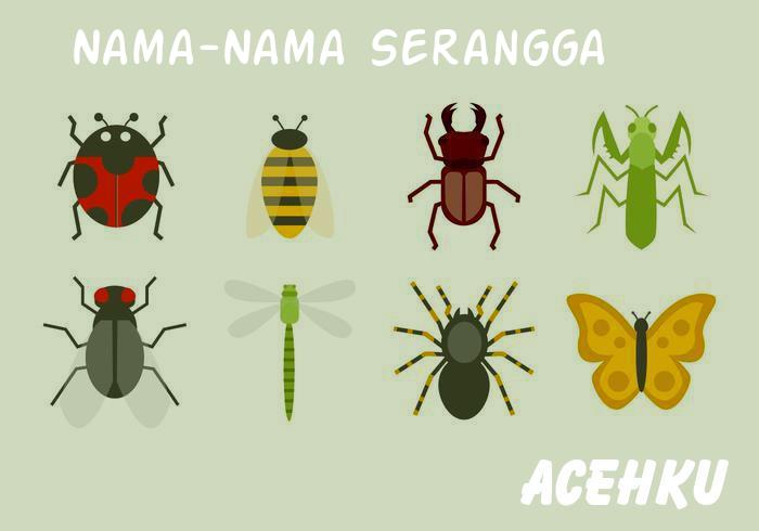 Detail Nama Nama Serangga Nomer 25