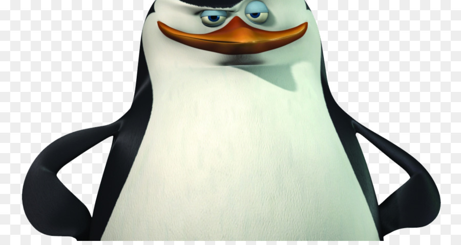 Detail Nama Pinguin Madagascar Nomer 34