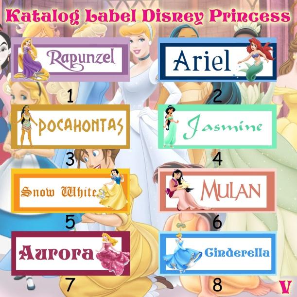 Detail Nama Princess Disney Dan Gambarnya Nomer 3