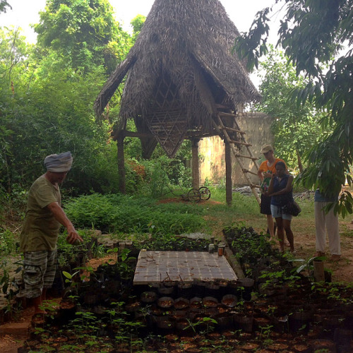 Detail Nama Rumah Adat Alor Nomer 49