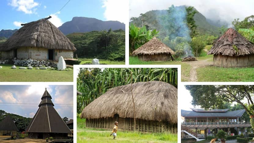 Detail Nama Rumah Adat Daerah Papua Nomer 16