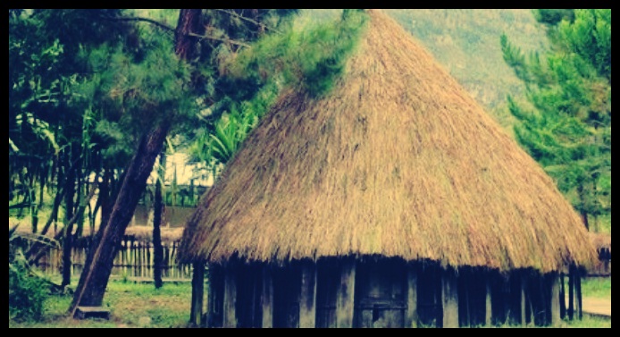 Detail Nama Rumah Adat Daerah Papua Nomer 39