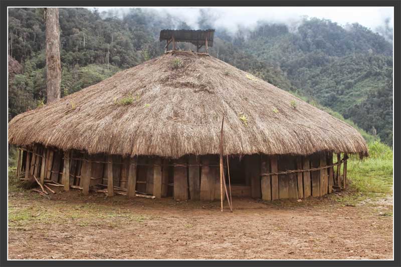 Detail Nama Rumah Adat Daerah Papua Nomer 43