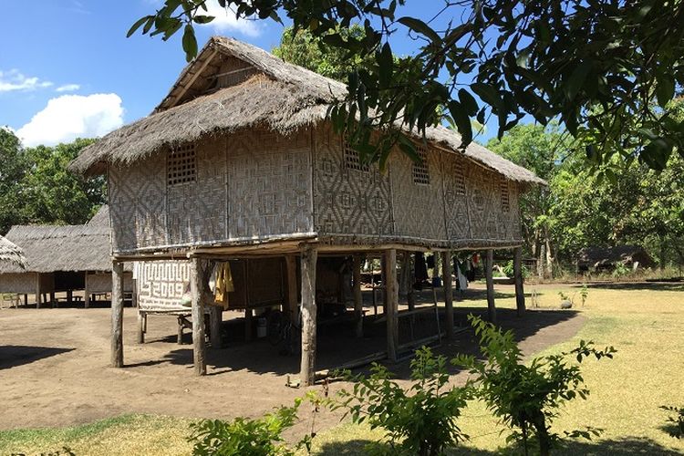 Detail Nama Rumah Adat Daerah Papua Nomer 44