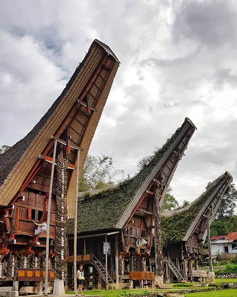 Detail Nama Rumah Adat Daerah Toraja Nomer 44