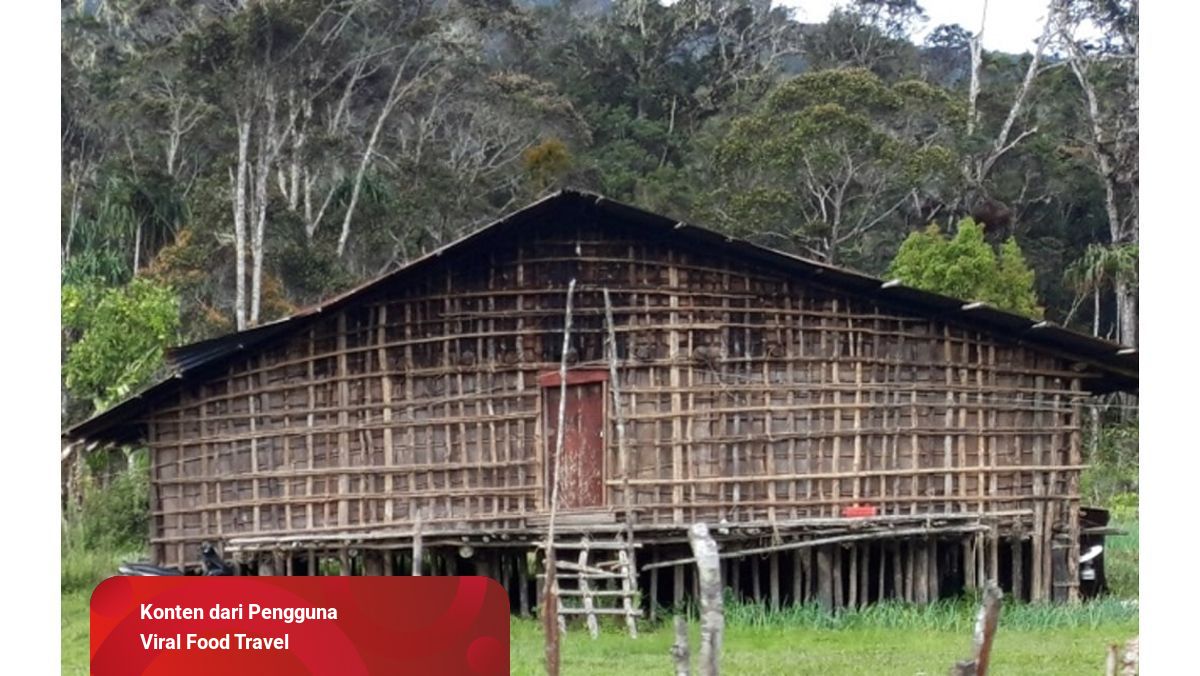 Detail Nama Rumah Adat Irian Jaya Koleksi Nomer 46