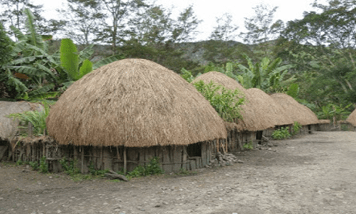 Detail Nama Rumah Adat Papua Barat Nomer 38