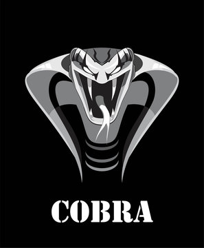 Detail Logo Cobra Keren Nomer 52