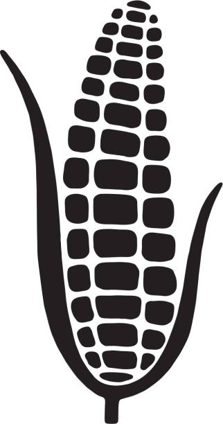 Detail Logo Corn Nomer 57
