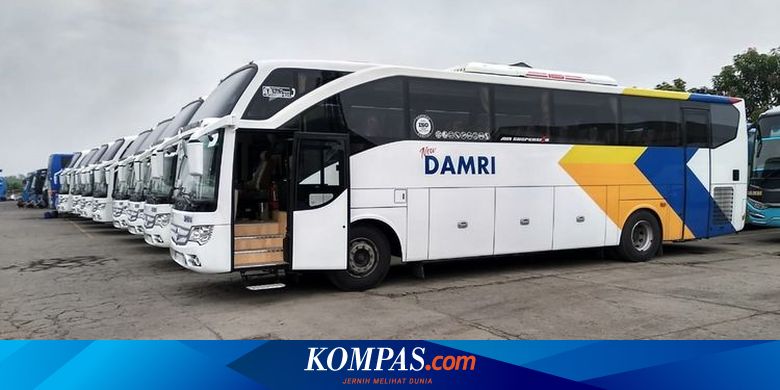 Detail Logo Damri Png Nomer 51