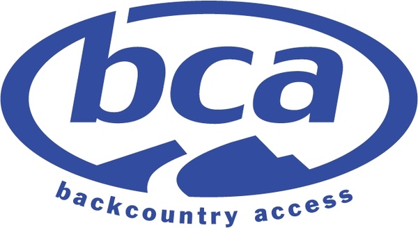 Detail Logo Debit Bca Vector Nomer 36
