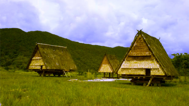 Detail Nama Rumah Adat Sulawesi Tengah Nomer 3