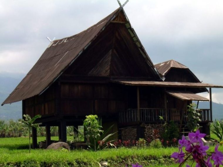 Detail Nama Rumah Adat Sumatera Selatan Nomer 43