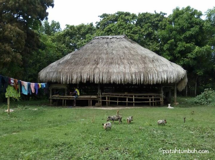 Detail Nama Rumah Adat Sumba Nomer 40