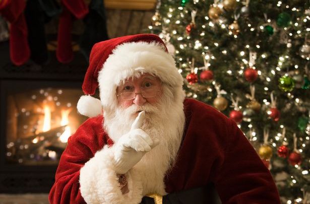 Detail Nama Rusa Berhidung Merah Milik Santa Claus Nomer 10