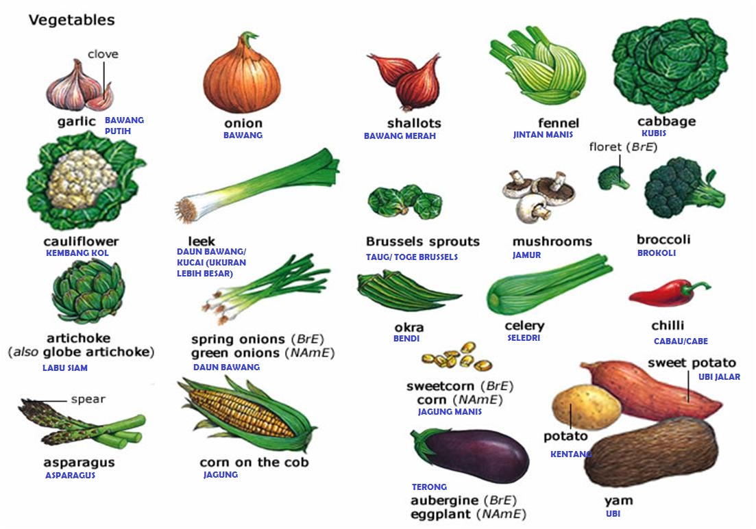 Detail Nama Sayuran Dan Gambarnya Nomer 31