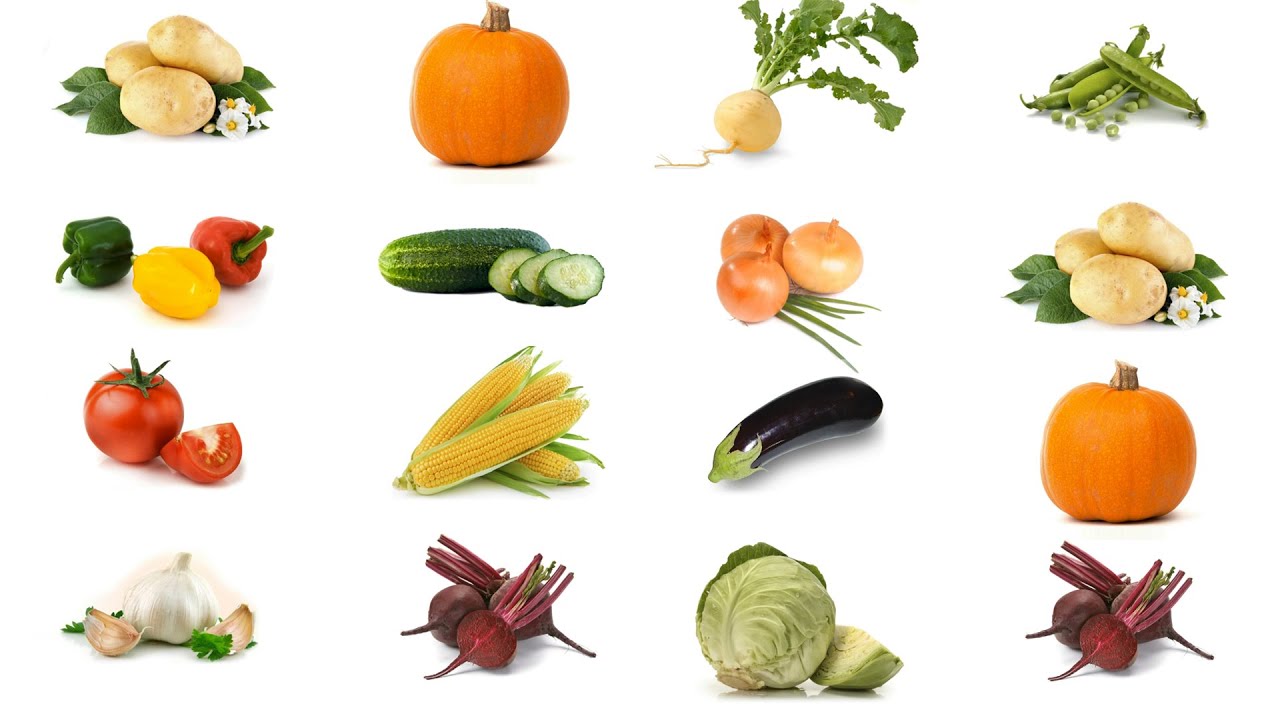 Detail Nama Sayuran Dan Gambarnya Nomer 48