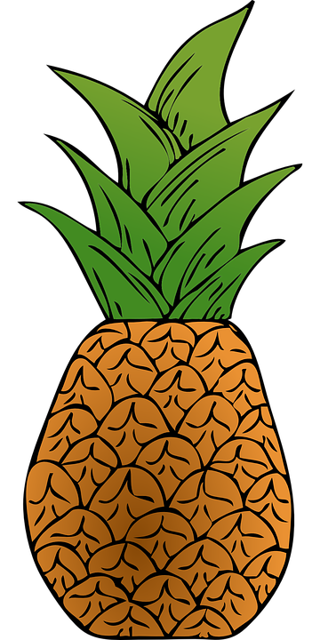 Detail Nanas Vector Png Nomer 28