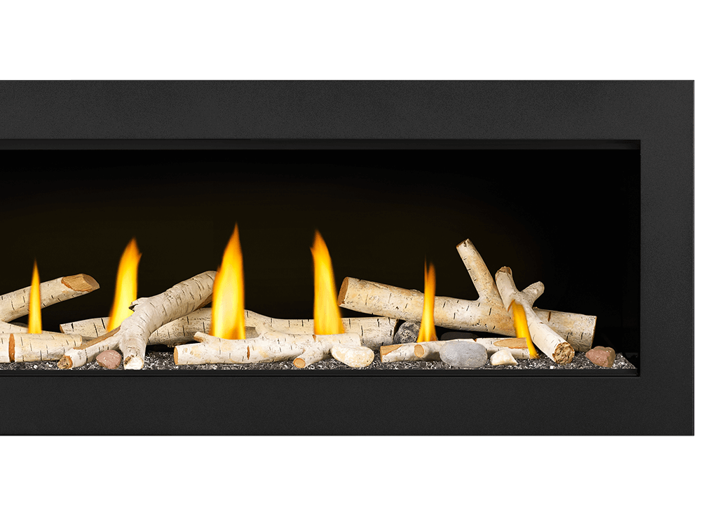 Detail Napoleon Vector Fireplace Nomer 15