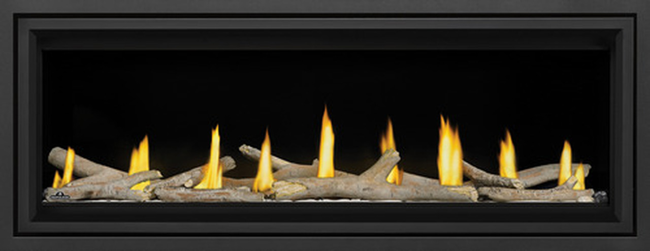 Detail Napoleon Vector Fireplace Nomer 20