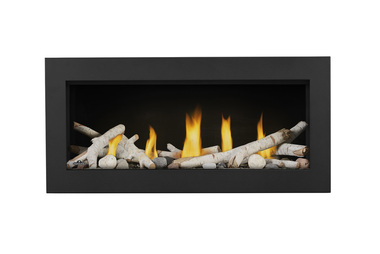 Detail Napoleon Vector Fireplace Nomer 52