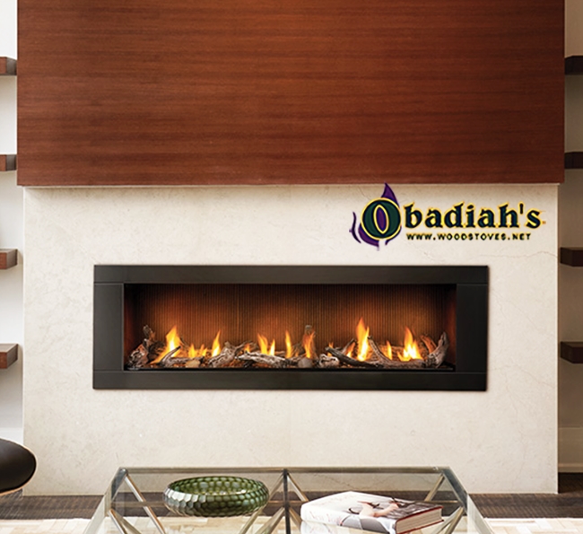 Detail Napoleon Vector Fireplace Nomer 9