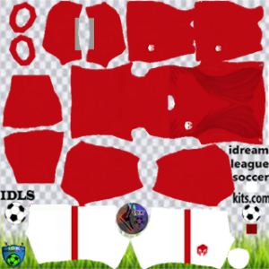Detail Logo Dls Bendera Indonesia Nomer 45