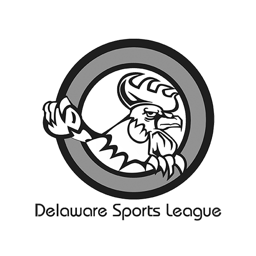 Detail Logo Dsl Nomer 28