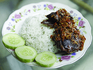 Detail Nasi Bebek Png Nomer 11