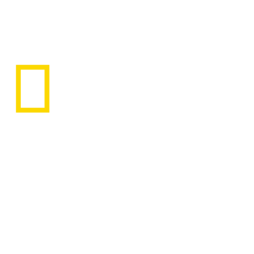 Detail Nat Geo Wild Logo Nomer 11