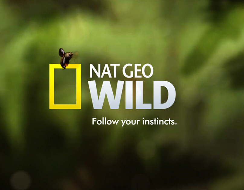 Detail Nat Geo Wild Logo Nomer 44