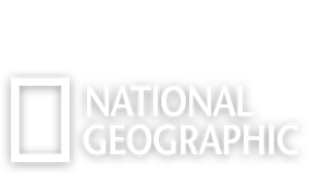 Detail Nat Geo Wild Logo Nomer 45