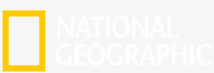 Detail National Geographic Logo Png Nomer 11