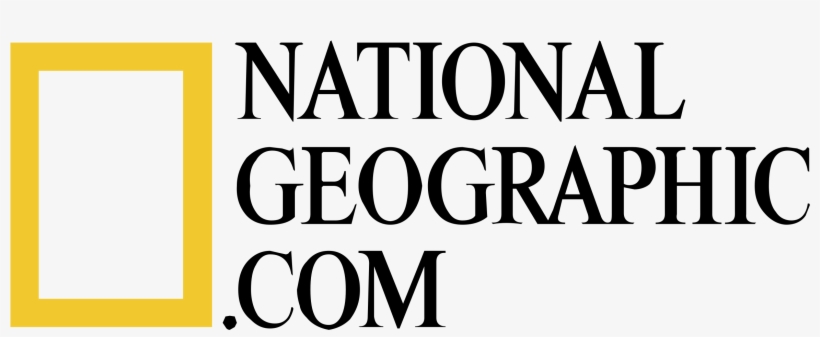 Detail National Geographic Logo Transparent Nomer 45