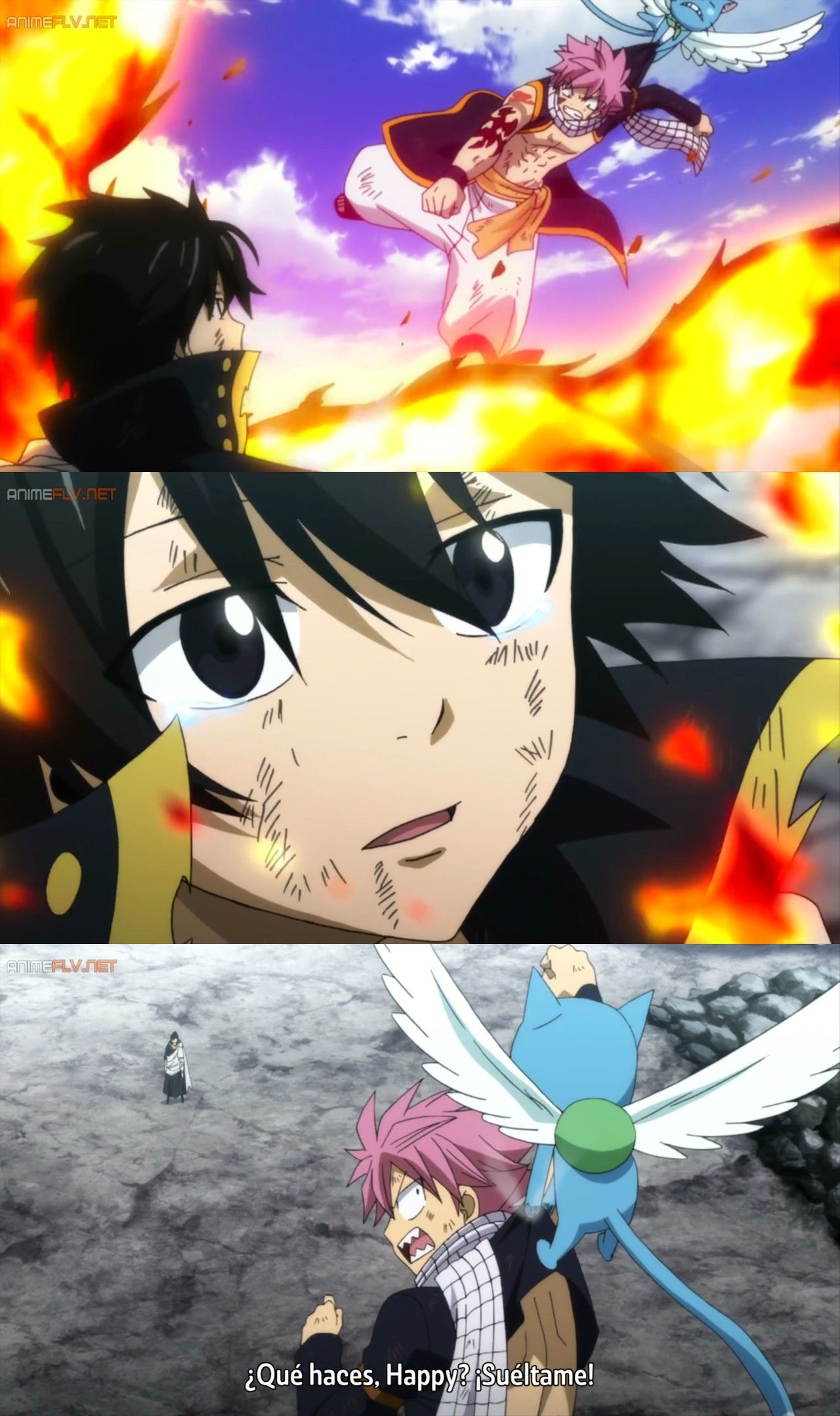 Detail Natsu Vs Zeref Nomer 11