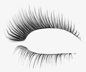 Detail Natural Eyelashes Png Nomer 16