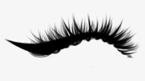 Detail Natural Eyelashes Png Nomer 41