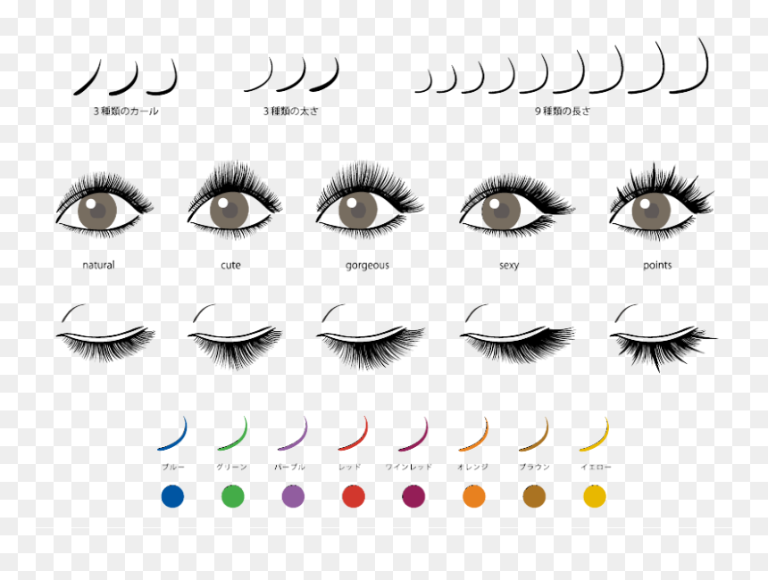 Detail Natural Eyelashes Png Nomer 42