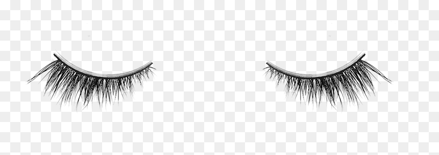 Detail Natural Eyelashes Png Nomer 44