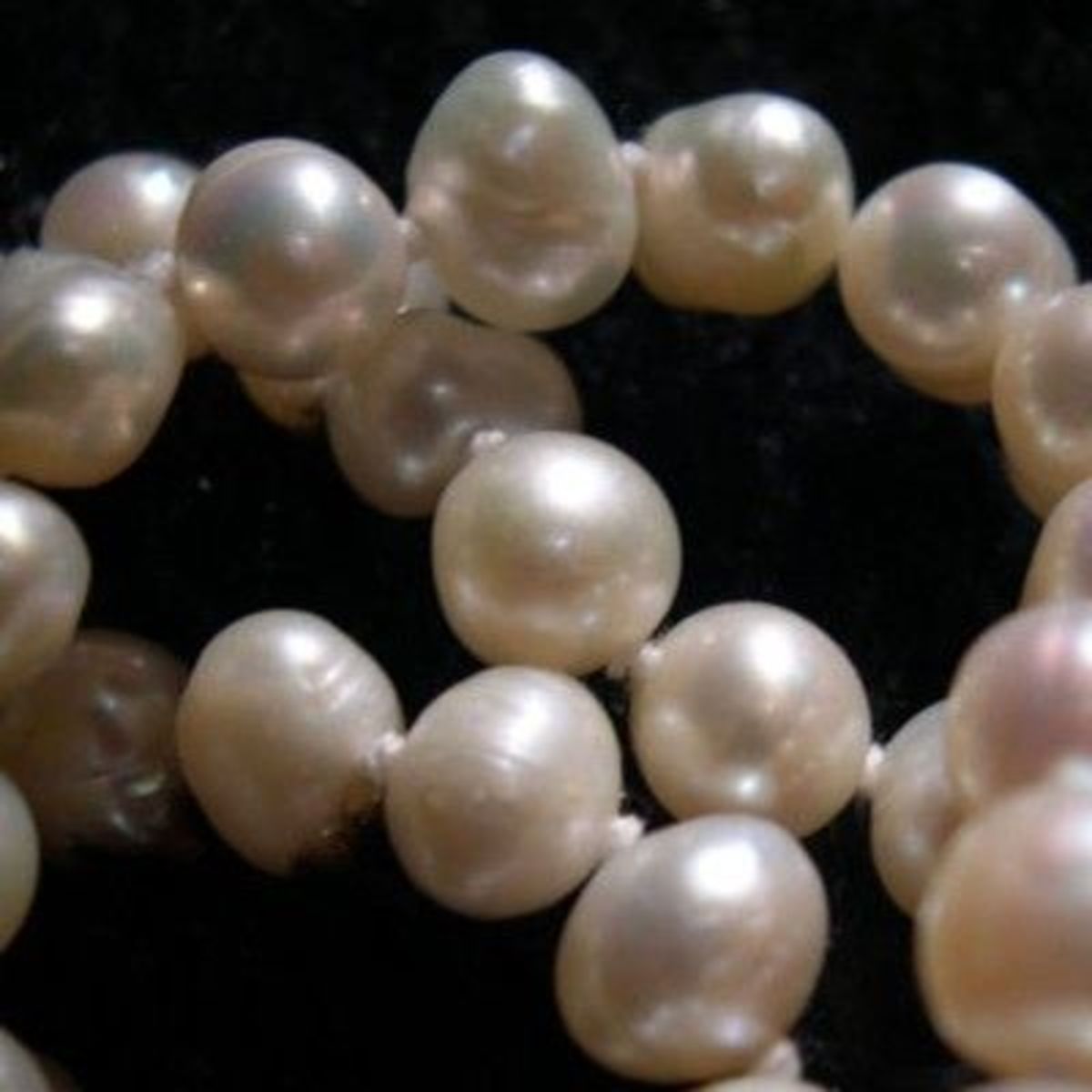 Detail Natural Pictures Of Real Pearls Nomer 24