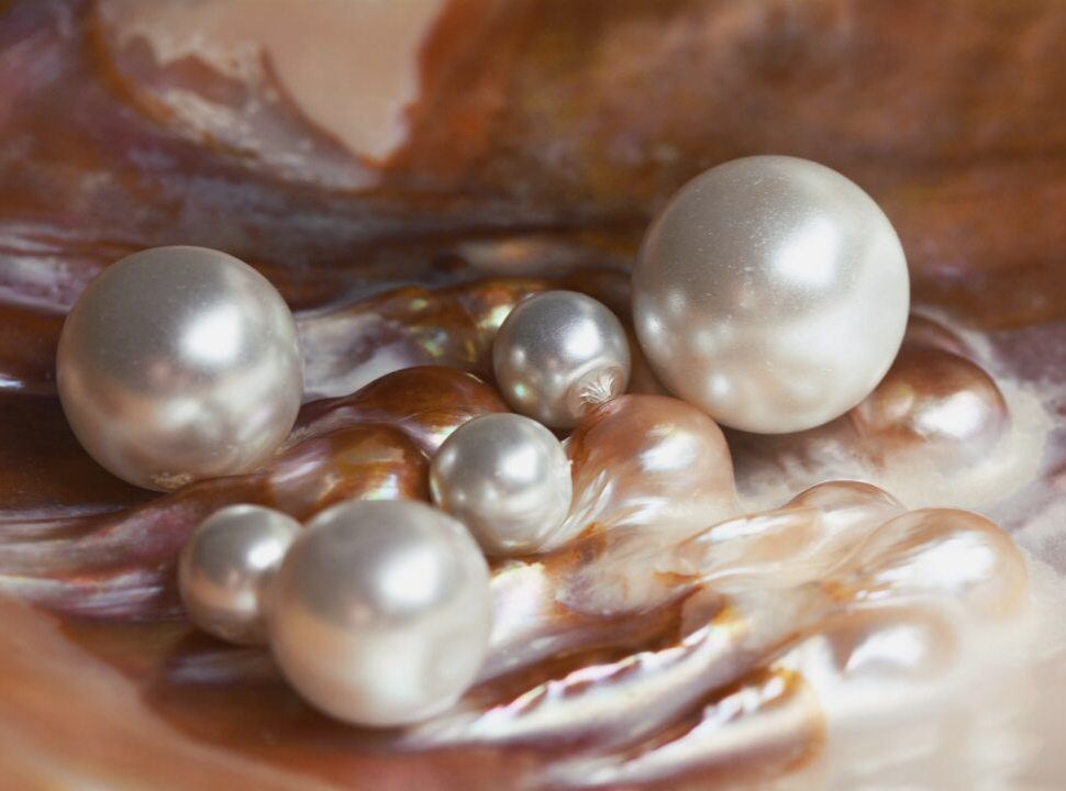 Detail Natural Pictures Of Real Pearls Nomer 25