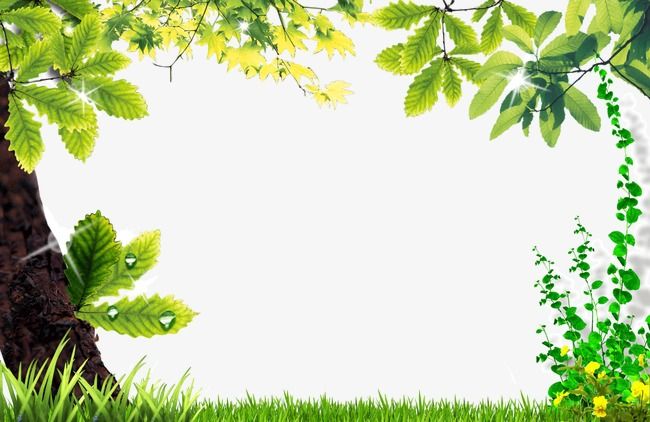 Detail Natural Png Images Nomer 39