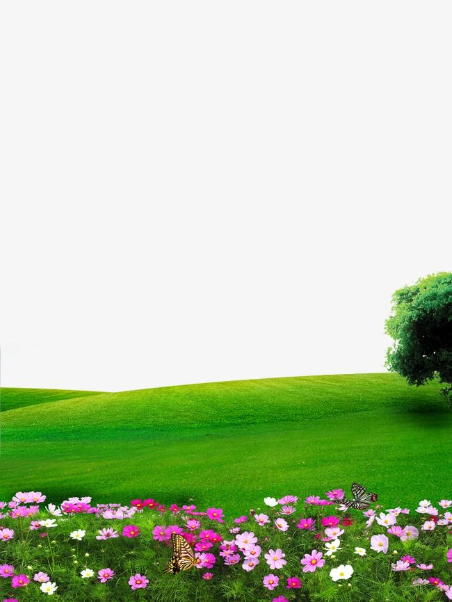 Detail Nature Background Png Nomer 3