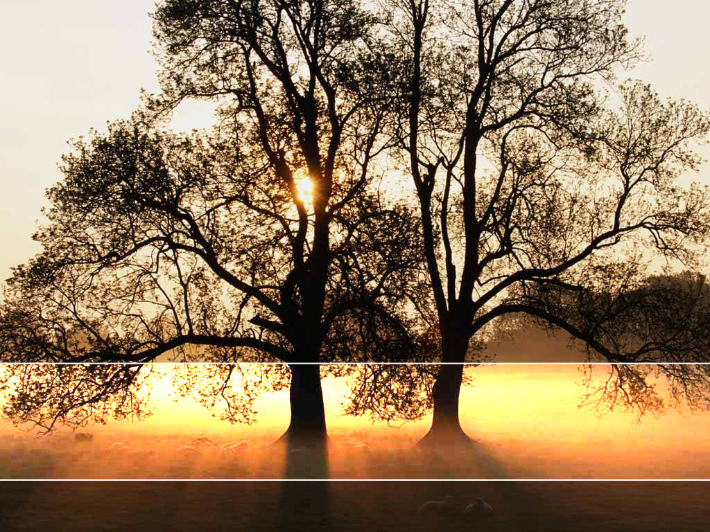 Detail Nature Background Powerpoint Nomer 52