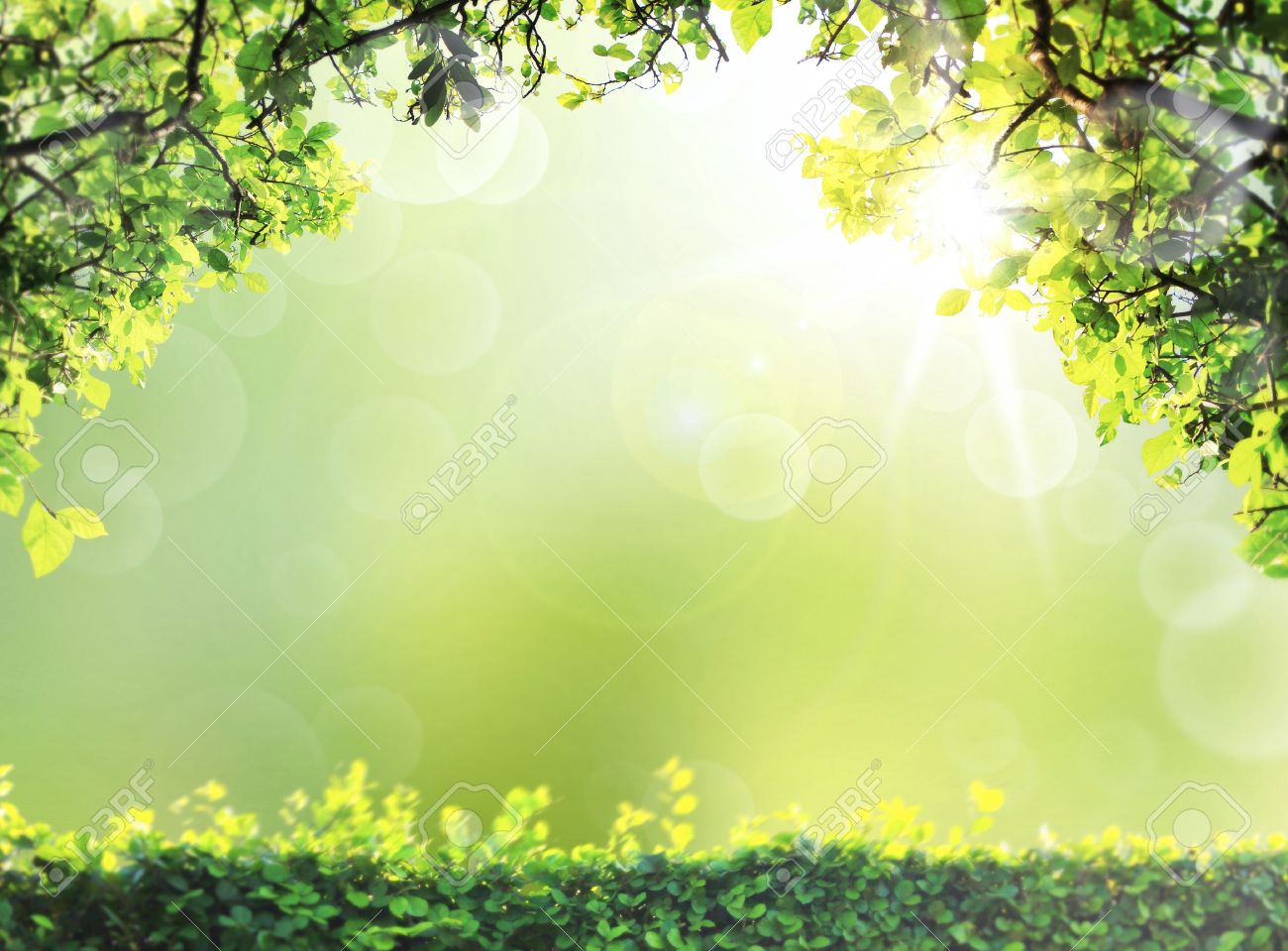 Detail Nature Background Powerpoint Presentation Nomer 19