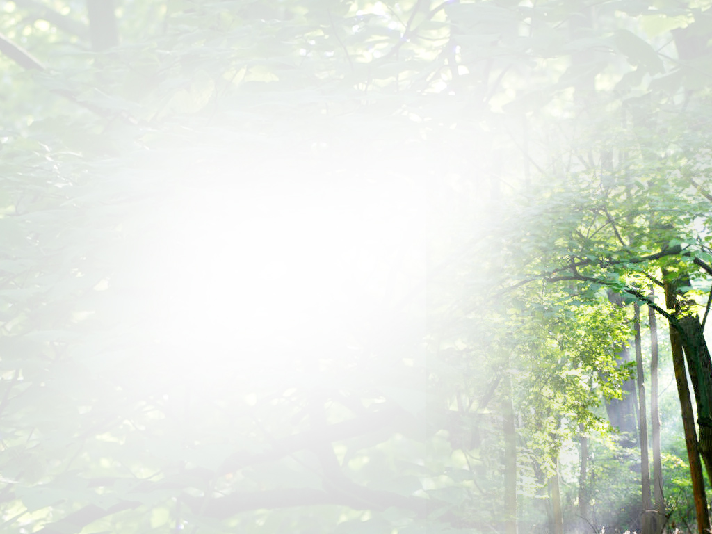 Detail Nature Background Powerpoint Presentation Nomer 20